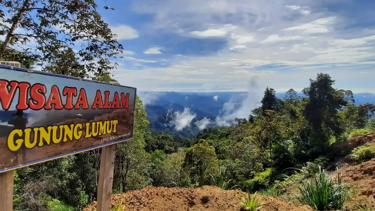 Nikmati Panorama Alam di Puncak Gunung Lumut Berau, Ada Air Terjun Hingga Pandangi Hamparan Awan
