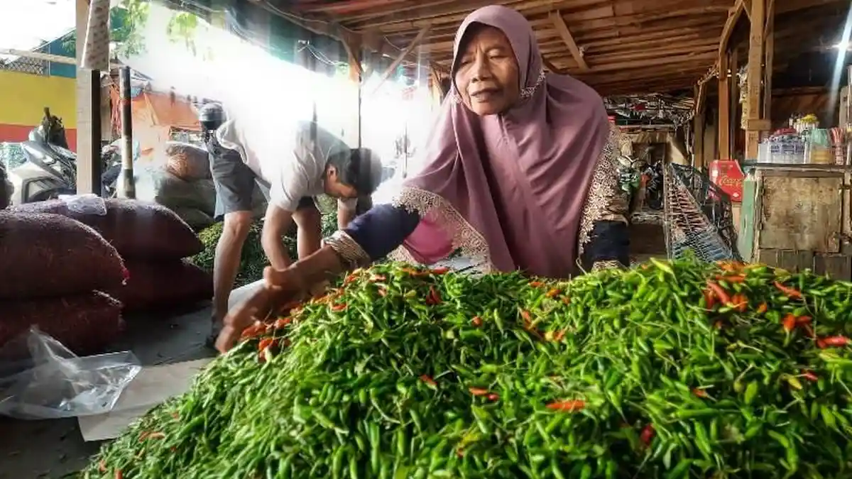 Harga Cabai Rawit Jelang Imlek Turun Rp 20 Ribu per Kg di Metro Lampung