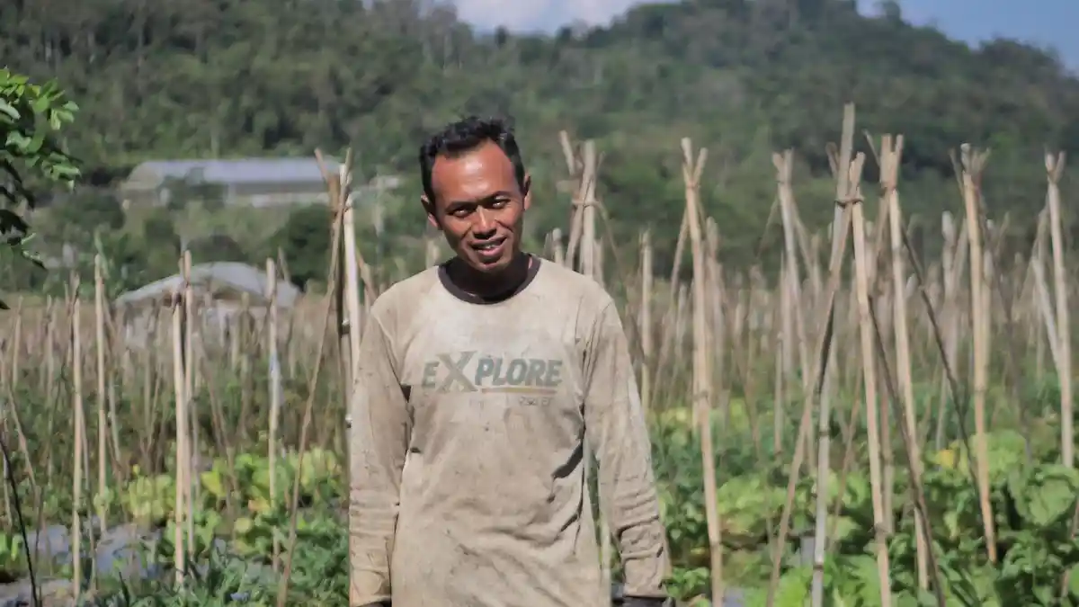 Mengintip Desa BRILian Sumowono, Motor Distribusi Sayur dari Lereng Semarang