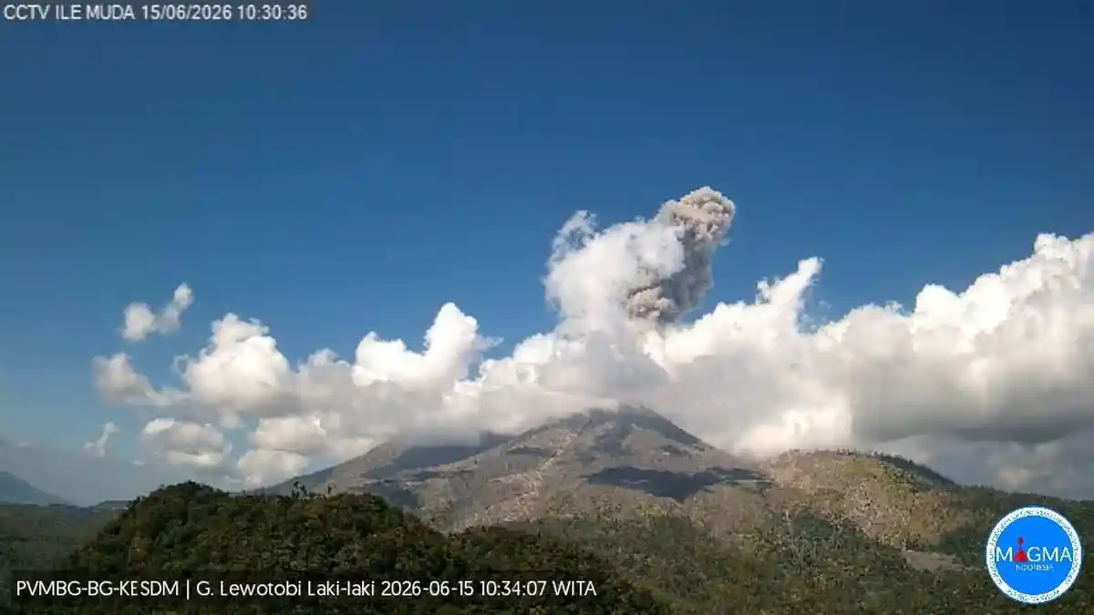 Status Siaga, Gunung Lewotobi 13 Erupsi 9 Kali Tremor Non-Harmonik