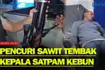 Pencuri-Sawit-Tembak-Kepala-Satpam-Kebun.jpg