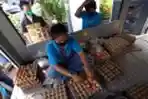 Program Telur Ayam Murah Kementan