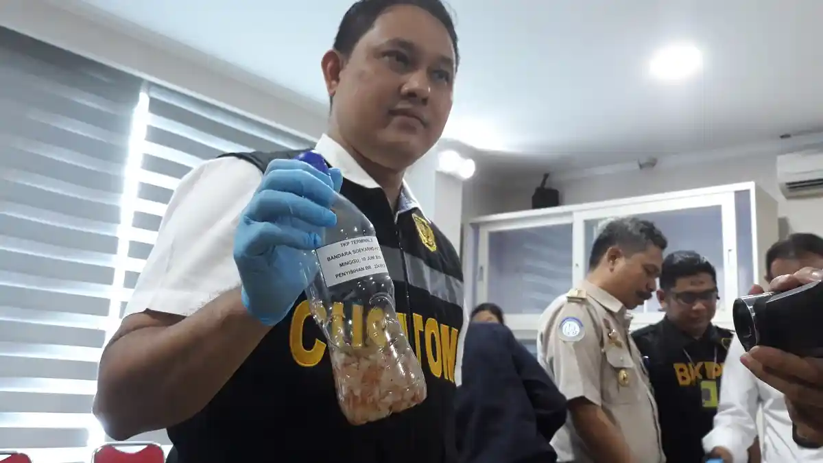 Benih Lobster Ilegal Miliaran Rupiah Dalam 300 Boks Ditahan di Bandara Soekarno-Hatta