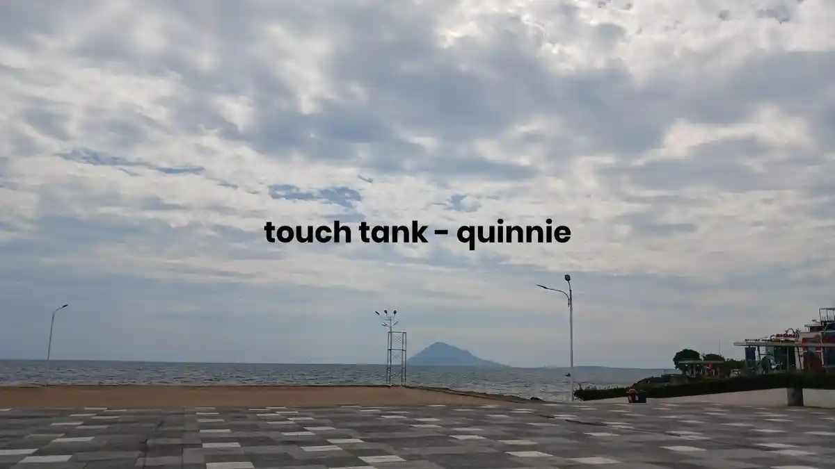 Lirik Lagu touch tank - quinnie