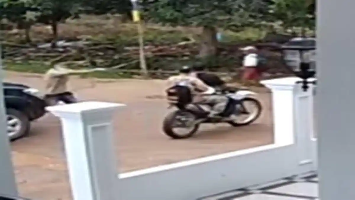 DETIK-DETIK Pria di Sumsel Tiba-tiba Ditembak Saat Bonceng Istri, Ambruk Perlahan dan Tewas