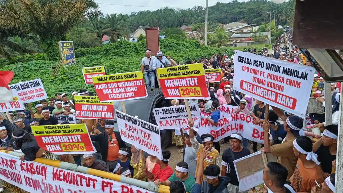 Breaking News: Ratusan Warga Desa Kabun Demo di PT Padasa, Tuntut Hak ...