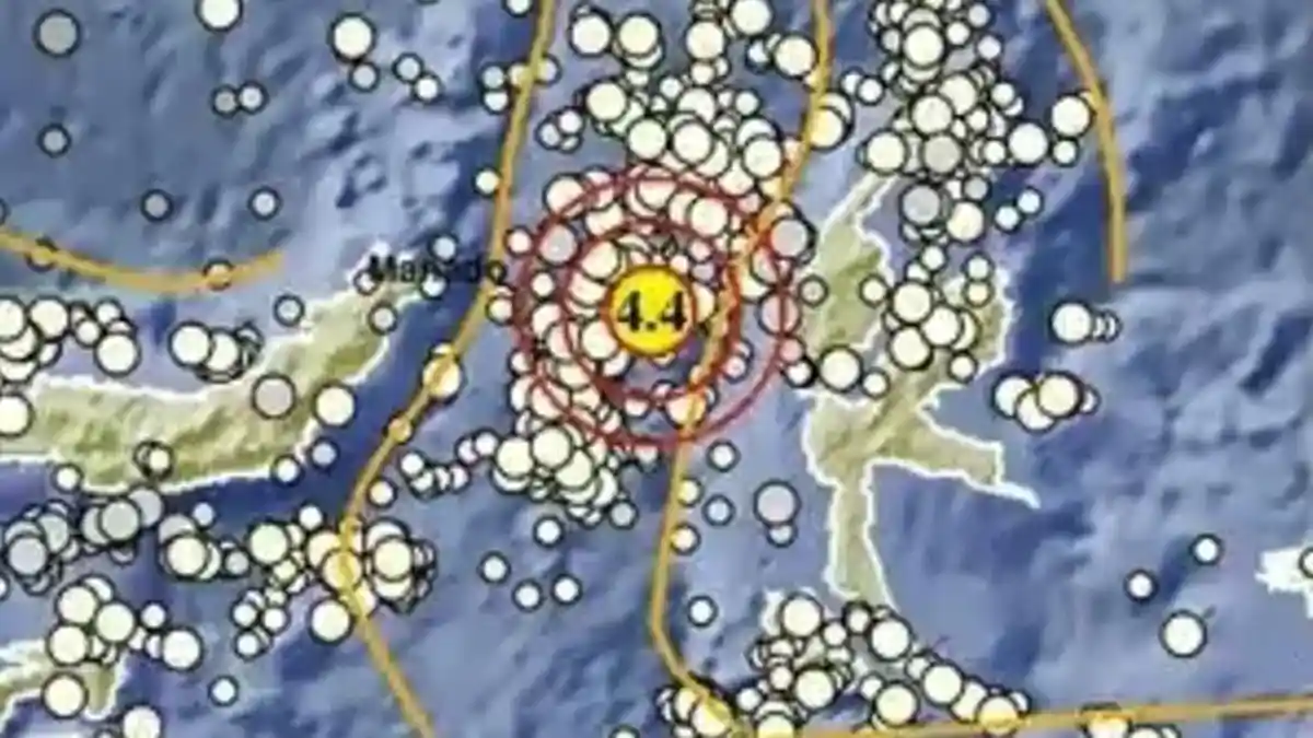 Gempa Terkini di Jailolo Maluku Utara Siang Ini Rabu 24 Juni 2026, Info BMKG Magnitudo 4,4 - Tribunmanado.co.id