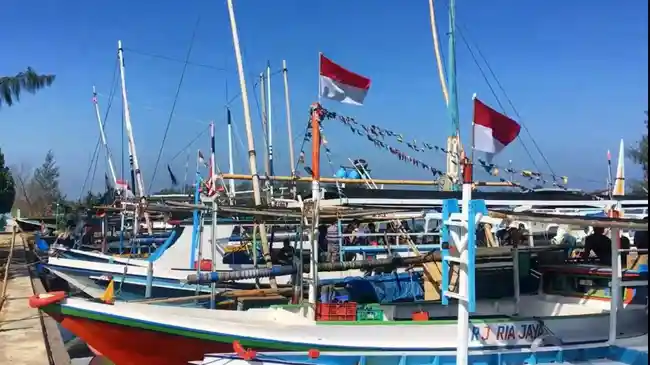 Tribun