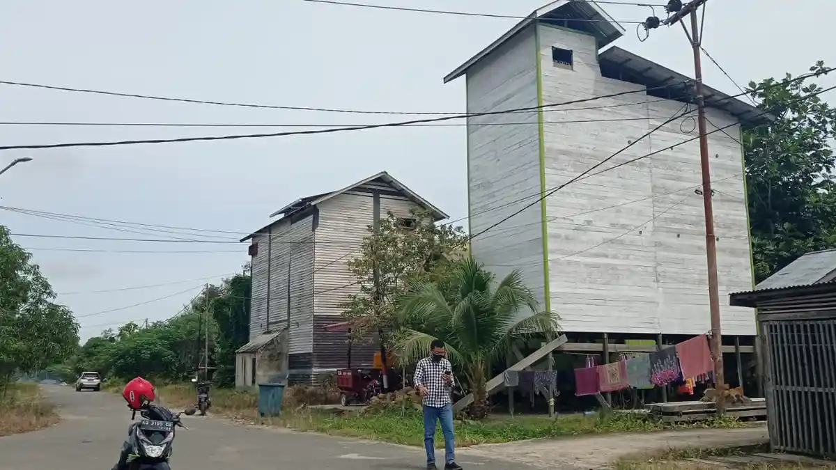 Sudah Ada Perda, Pemkab Tana Tidung Belum Tarik Pajak Usaha Sarang Walet, Ini Penyebabnya