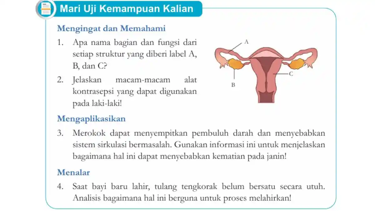 Kunci Jawaban IPA Kelas 9 Halaman 44 Kurikulum Merdeka, Uji Kemampuan