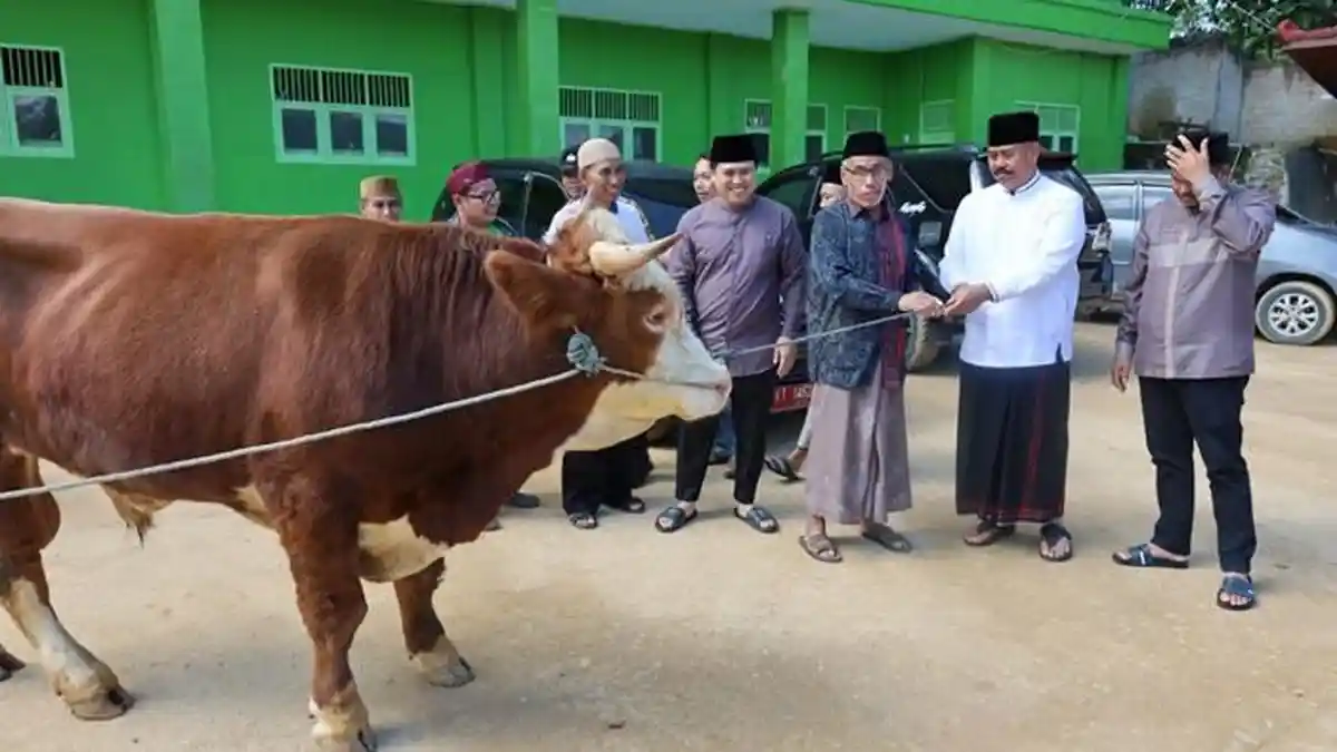 Bupati Edi Damansyah Serahkan Sapi Kurban di Ponpes dan Perumahan di Tenggarong Seberang 
