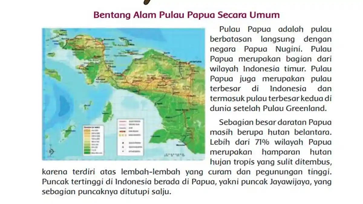 Kondisi Geografis Pulau Papua dan Maluku, Mulai Batas, Keadaan Alam hingga Luas Daerah