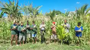 Lapas-Kelas-IIB-Kalabahi-panen-raya-jagung-di-lahan-Sarana-Asimilasi.jpg