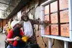 Hari Harimau Sedunia di Batu Secreet Zoo