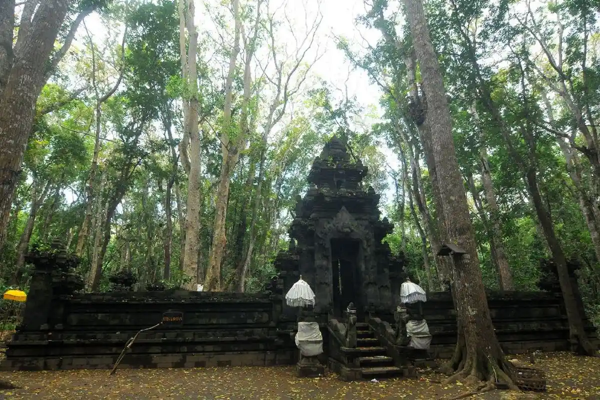 Penetapan Geopark Dan Cagar Biosfer Dunia Jadi Pendorong Baru Wisata Di Banyuwangi