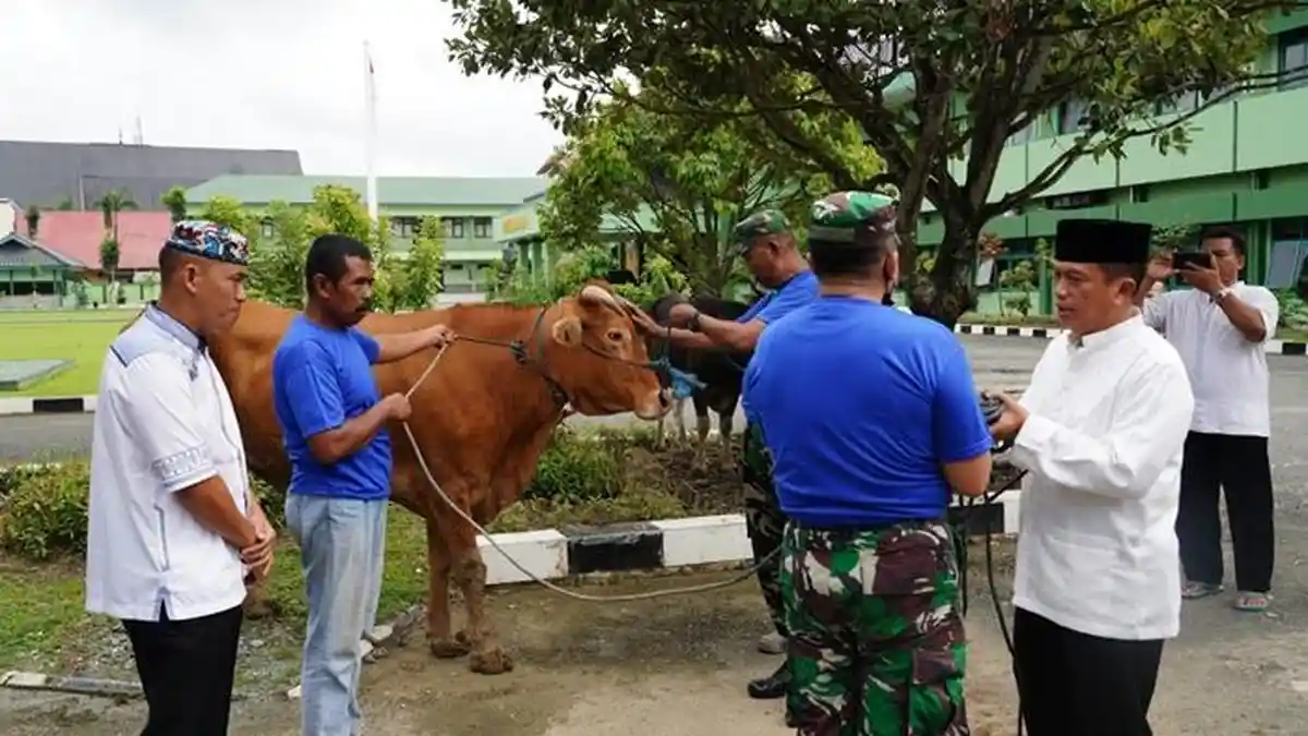 Idul Adha 1443 H, Korem 091/ASN Sembelih Sebanyak 17 Ekor Hewan Kurban