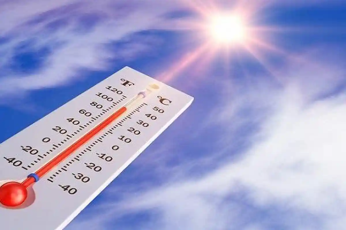 Naik 1°C Setelah 30 Tahun, BMKG Beberkan Faktor Penyebab Kenaikan Suhu di Kota Jambi