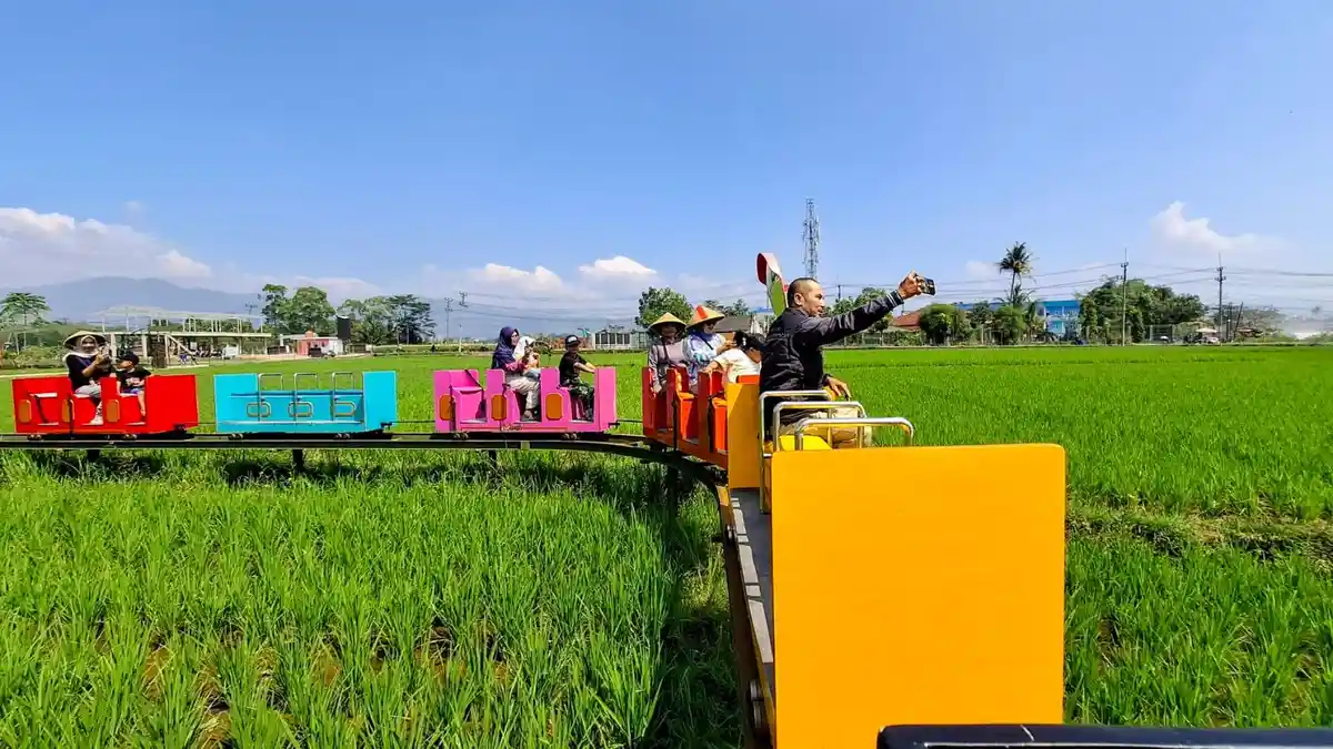 Dangdeur van Java, Naik Kereta Mini di Tengah Sawah: Wisata Asyik di Kiangroke Banjaran Bandung