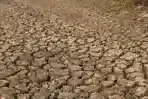 tanah-pecah-akibat-kemarau_20160122_231852.jpg