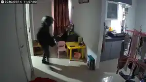 pencuri2.jpg