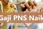 Update-gaji-PNS-naik-tapi-tukin-PNS-berubah-berikut-rinciannya-kenaikan-16-Agustus-2023.jpg