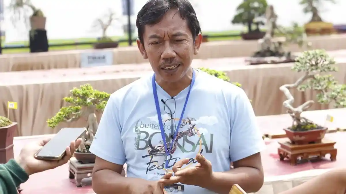 Tips Menjaga dan Merawat Keindahan Tanaman Bonsai Kesayangan