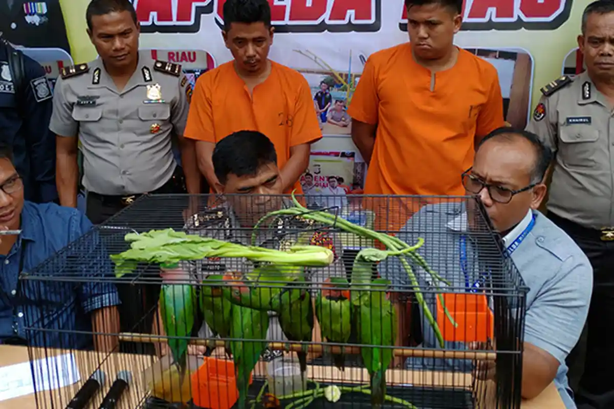 Sindikat Perdagangan Satwa Dilindungi Diciduk Polda Riau, Pelaku Kerap Unggah Gambar Hewan di Medsos