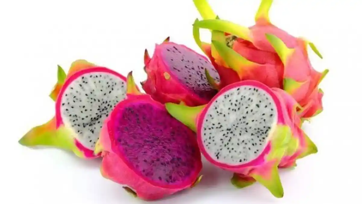Dari Ketiga Jenis Buah Naga Ini, Mana yang Lebih Bernutrisi? Berikut Penjelasannya