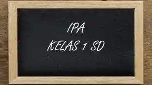 IPA-kelas-1-SD-Semester-1-30.jpg