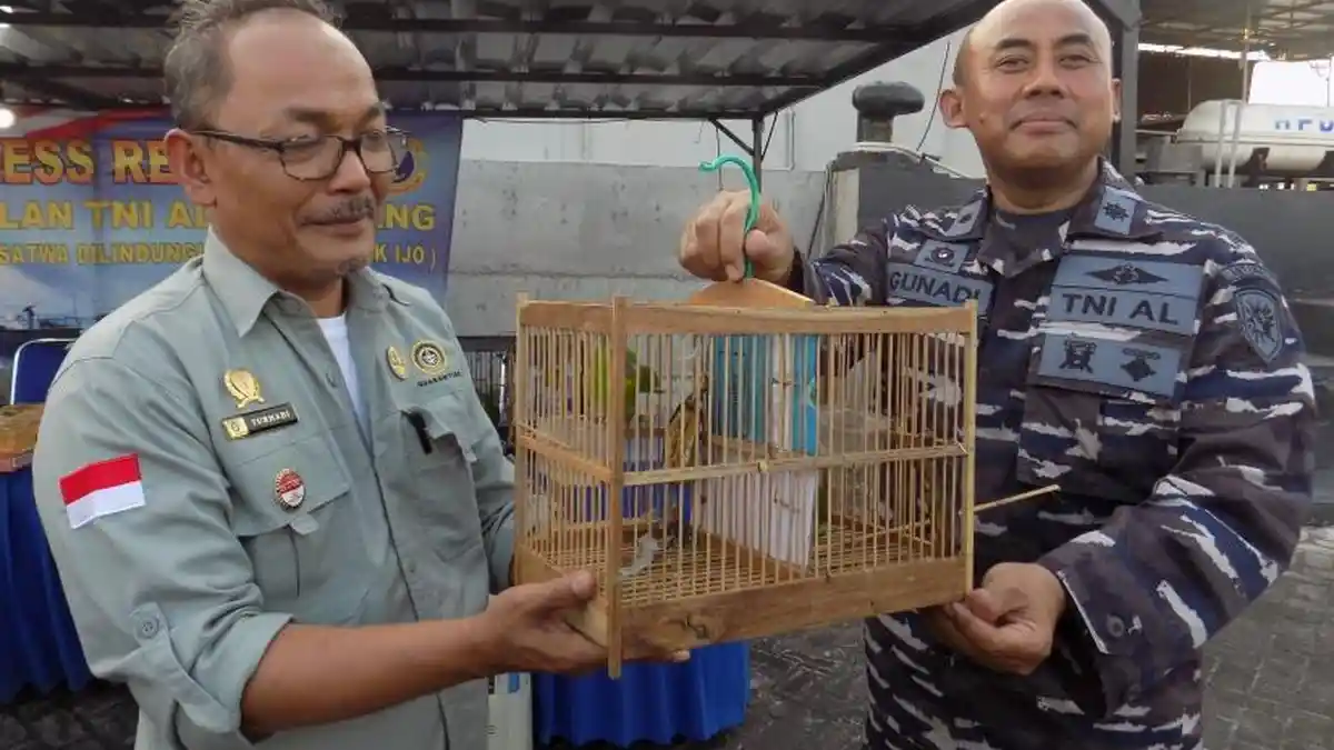 Personel Lanal Semarang Gagalkan Penyelundupan Puluhan Burung Dilindungi dari Kumai Kalteng