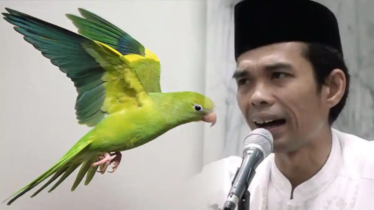Burung Lovebird Hinggap di Kepala, Ustaz Abdul Somad Disandingkan dengan Erdogan