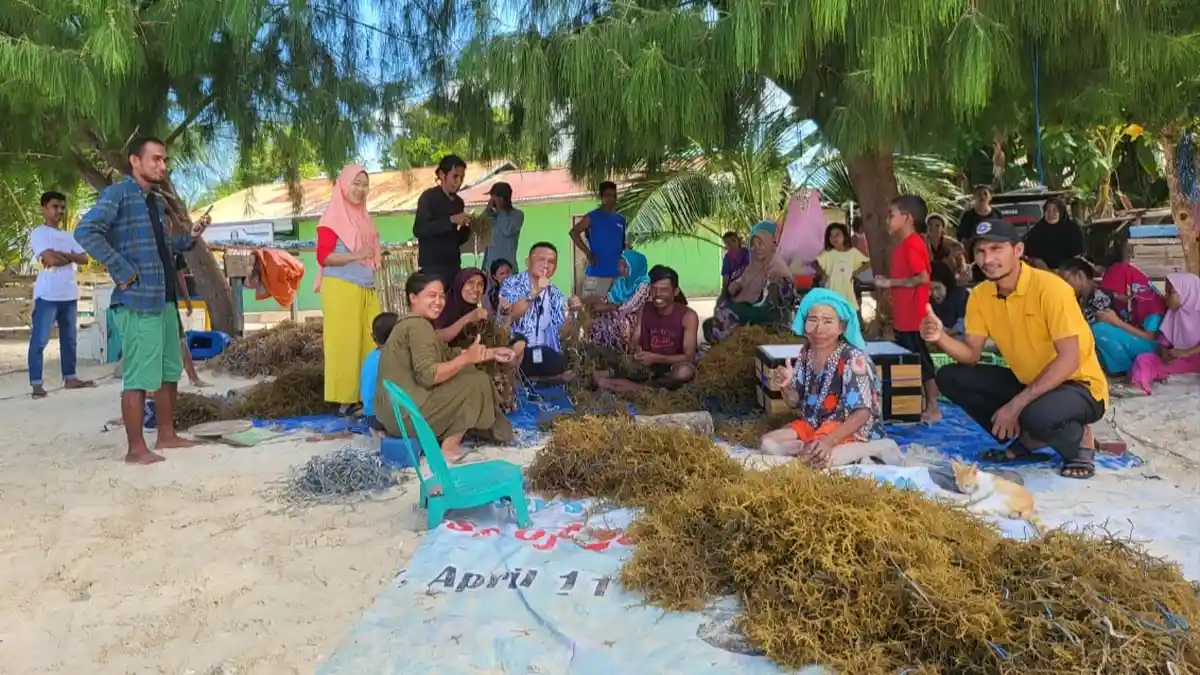 Pj Bupati Morotai   Sambangi  Petani Rumput Laut di Desa Kolorai, Ini yang Diharapkan