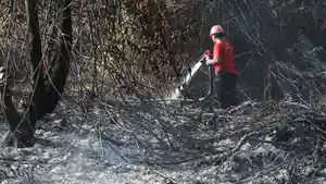 Kebakaran-hutan-dan-lahan-Karhutla-di-Pekanbaru-beberapa-waktu-lalu.jpg