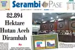 82.894 Hektare Hutan Aceh Dirambah