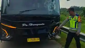 Kecelakaan-saat-Mudik-Lebaran-Bus-Haryanto-Tabrak-5-Mobil-di-Tol-Batang-Ketum-Partai-Jadi-Korban.jpg
