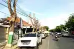 Kota Pamekasan Bak Membara, DPRD Berang Pemangkasan Puluhan Pohon Tak Sisakan Selembar Daun Pun