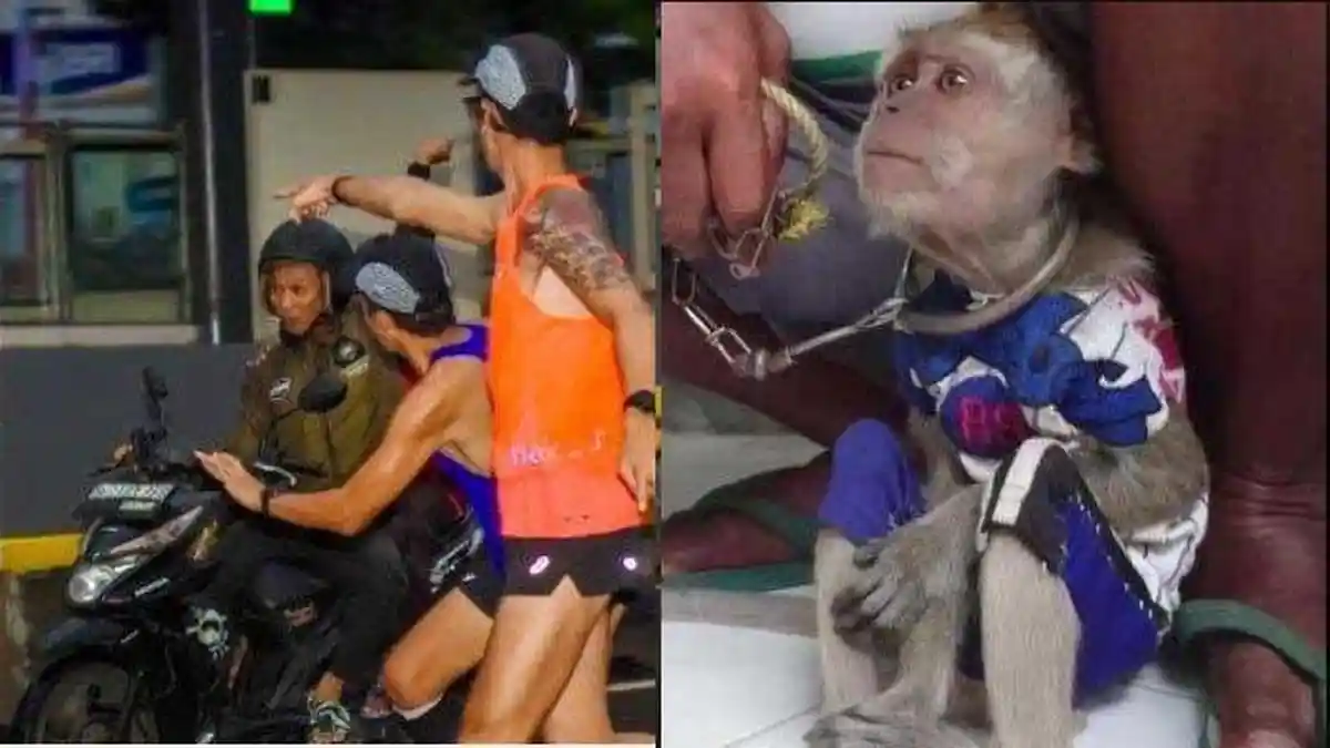 Ingat Jambret Viral di CFD yang Kena Jepret Fotografer? Kini Nyamar Jadi Topeng Monyet