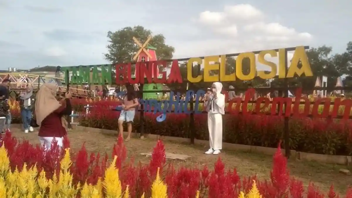 Taman Bunga Celosia Destinasi Baru Wisata di Palembang, Ini Tarif Masuk dan Lokasinya