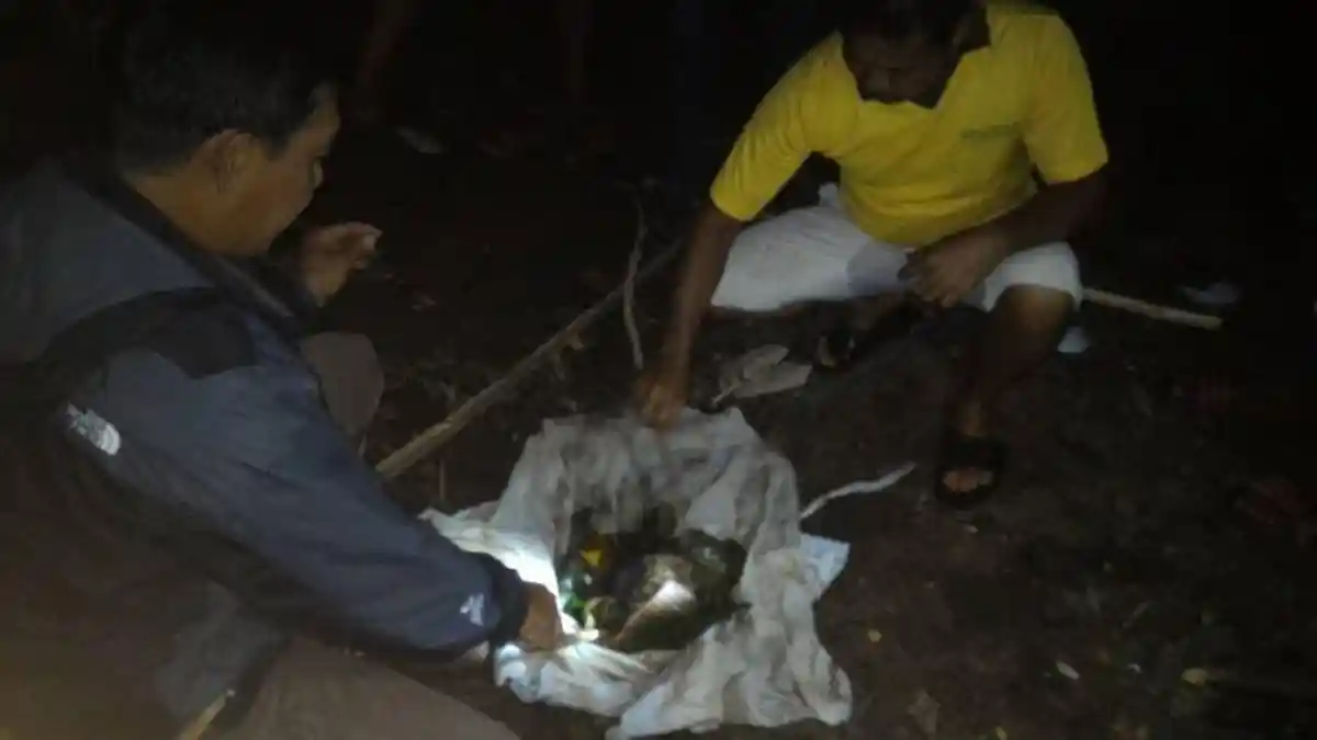 Bungkusan Mencurigakan Gegerkan Warga, Isinya Kepala dan Kaki Kambing serta Tulisan Arab