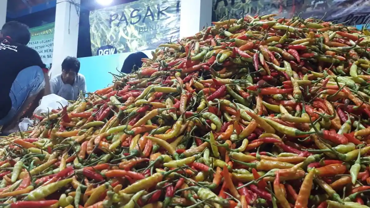 Bikin Sensasi Buang Cabai Afkir di Garut, Pedagang Cabai Ngaku Khilaf dan Minta Maaf