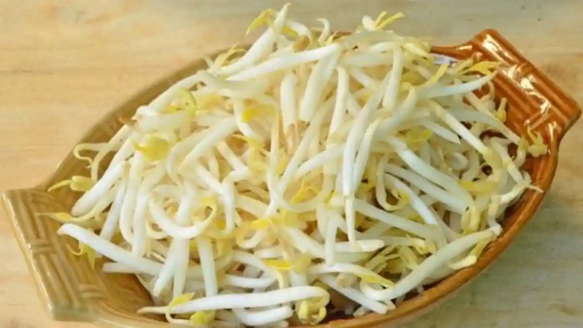 10 Manfaat Tauge Untuk Kesehatan, Termasuk Merawat Kulit