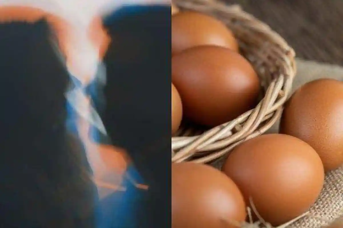 JATIM TERPOPULER: Kakak Adik Tulungagung Zina di Masjid - Harga Telur Ayam di Jawa Timur Naik