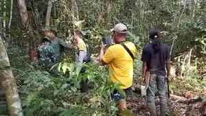 Induk-dan-Anak-Beruang-Muncul-di-Kebun-Karet-Desa-Ciptodadi-Musi-Rawas-Warga-Pasang-Perangkap.jpg