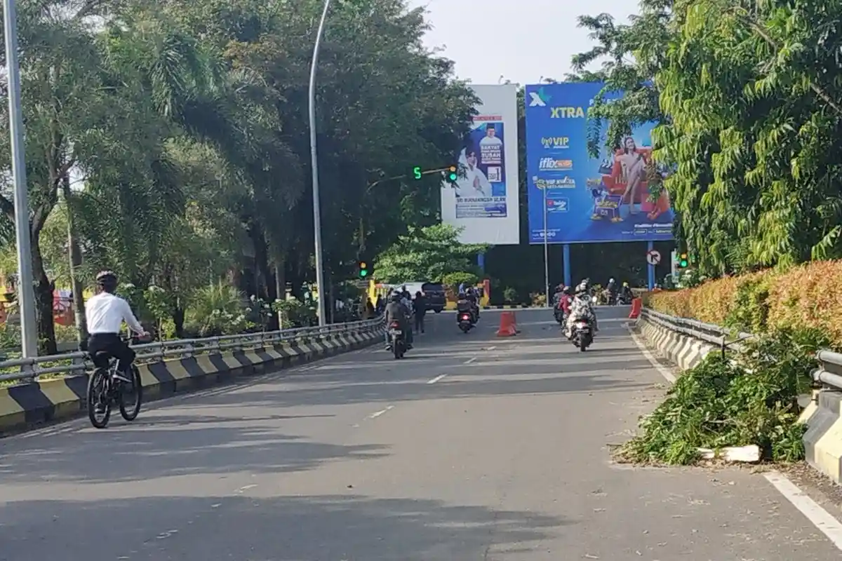 Hujan Disertai Angin dan Petir Sebabkan Pohon di Tiga Lokasi ini Tumbang, Satu Mobil Terdampak
