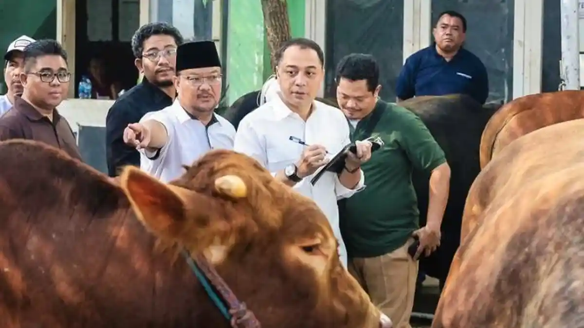 Jelang Idul Adha, Pemkot Surabaya Perketat Pengawasan Hewan Kurban Agar Bebas PMK