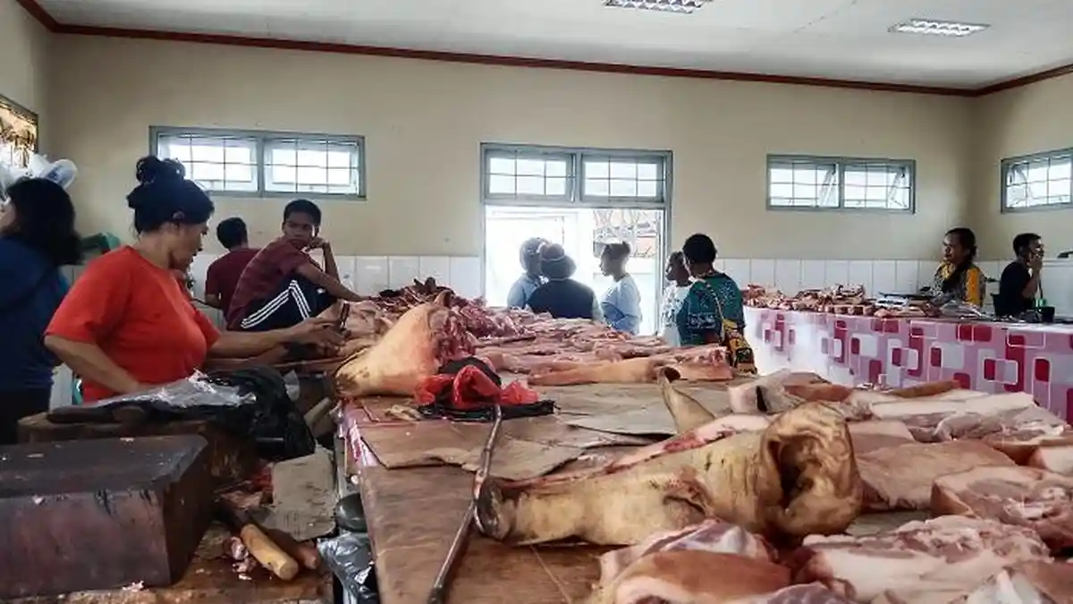Saat Stok Ternak di Mimika Kembali Melimpah, Harga Daging Babi Turun ke Rp150 Ribu Per Kg