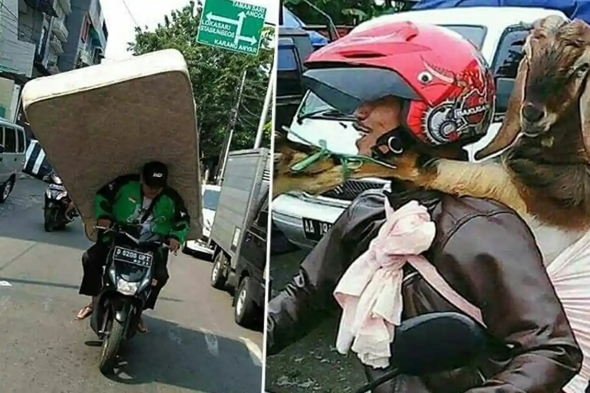 7 Potret 'Penumpang' Ojek Online yang Tak Biasa, Ternyata Nggak Cuma Manusia Aja yang Bisa Naik