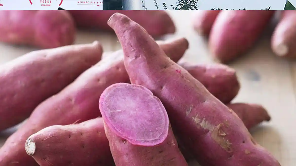 Trik Memilih Ubi Ungu yang Manis dan Enak Buat Dimasak