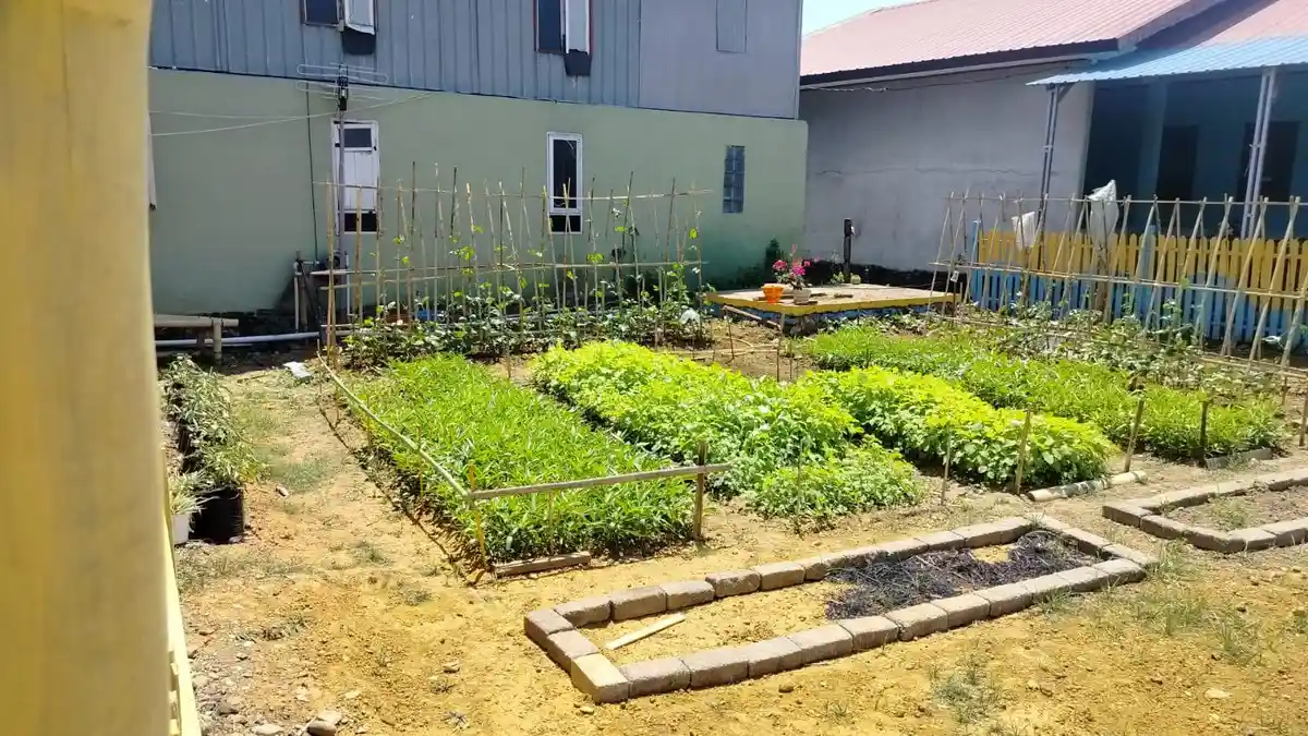Warga Bulu Cindea Belajar Berkebun Tanaman Bergizi, WiFi Gratis IOH Permudah Cari Bahan Edukasi
