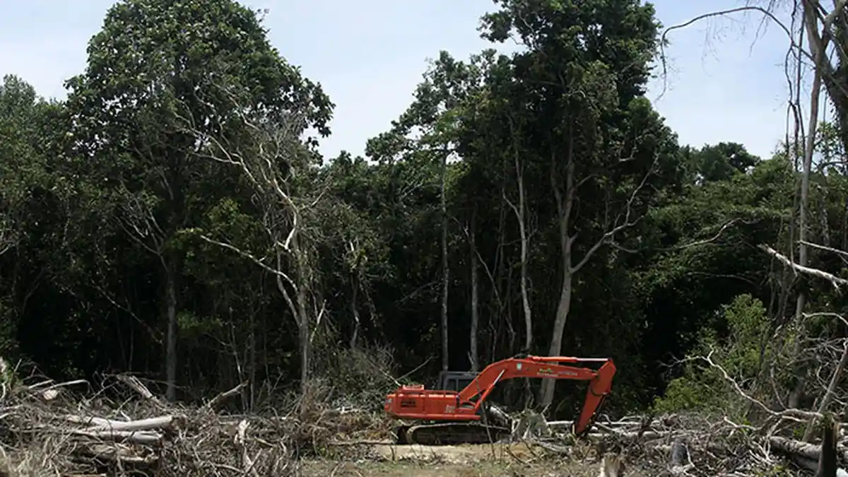 Masa Depan Leuser: Warisan Dunia Yang Masih Terancam - alat-berat-yang-dipakai_20180129_151530.jpg